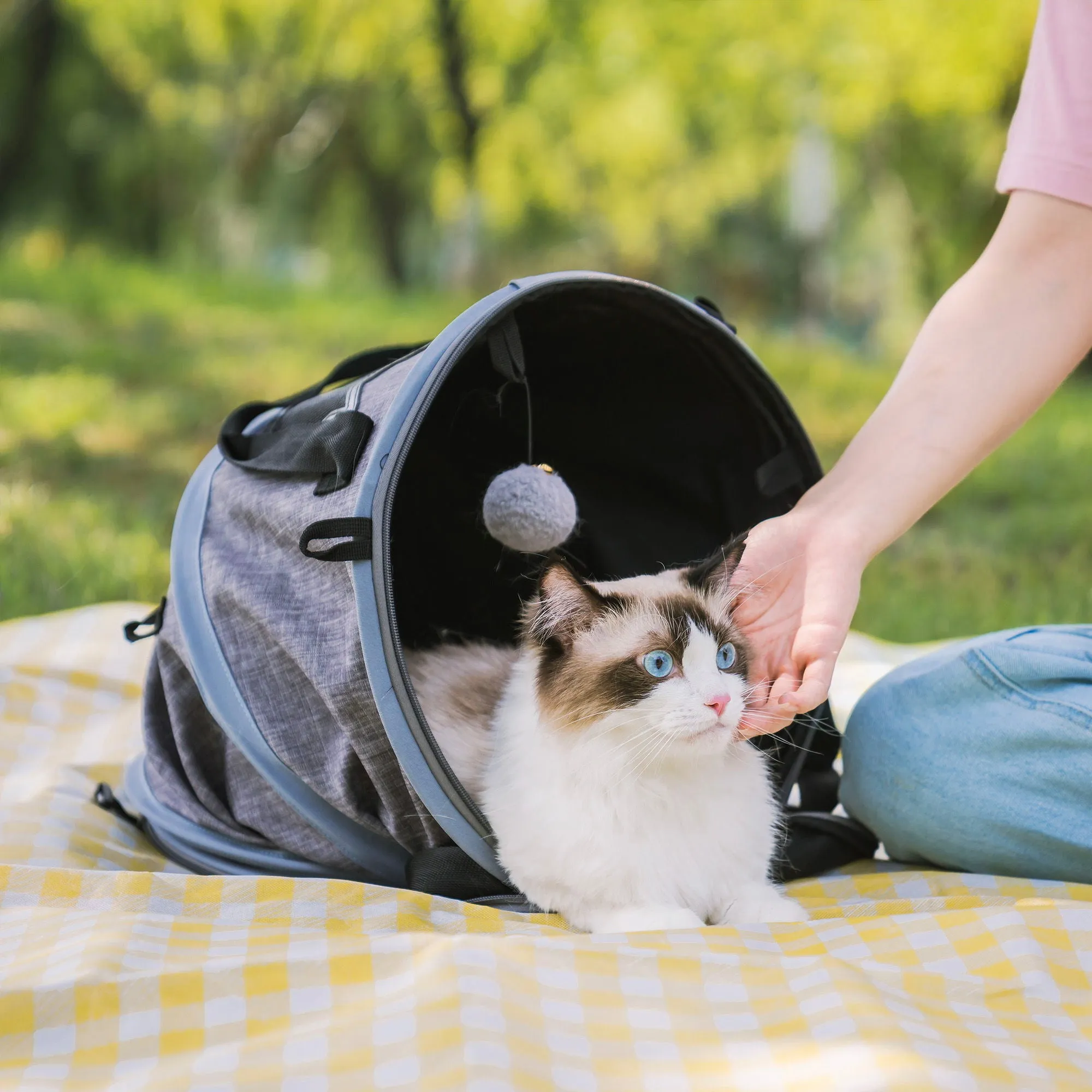 3 In 1 Cat Bed, Foldable Tunnel Pet Travel Carrier Bag Toy Cat Bed With Plush Balls For Indoor Cats Puppy