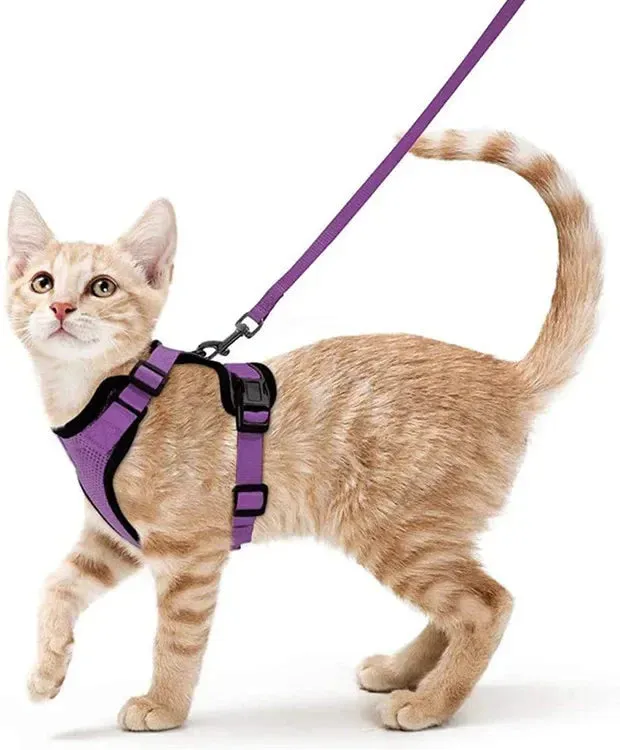 ATUBAN Cat Harness and Leash Set – Adjustable with Breathable Reflective Design Vest for Cats
