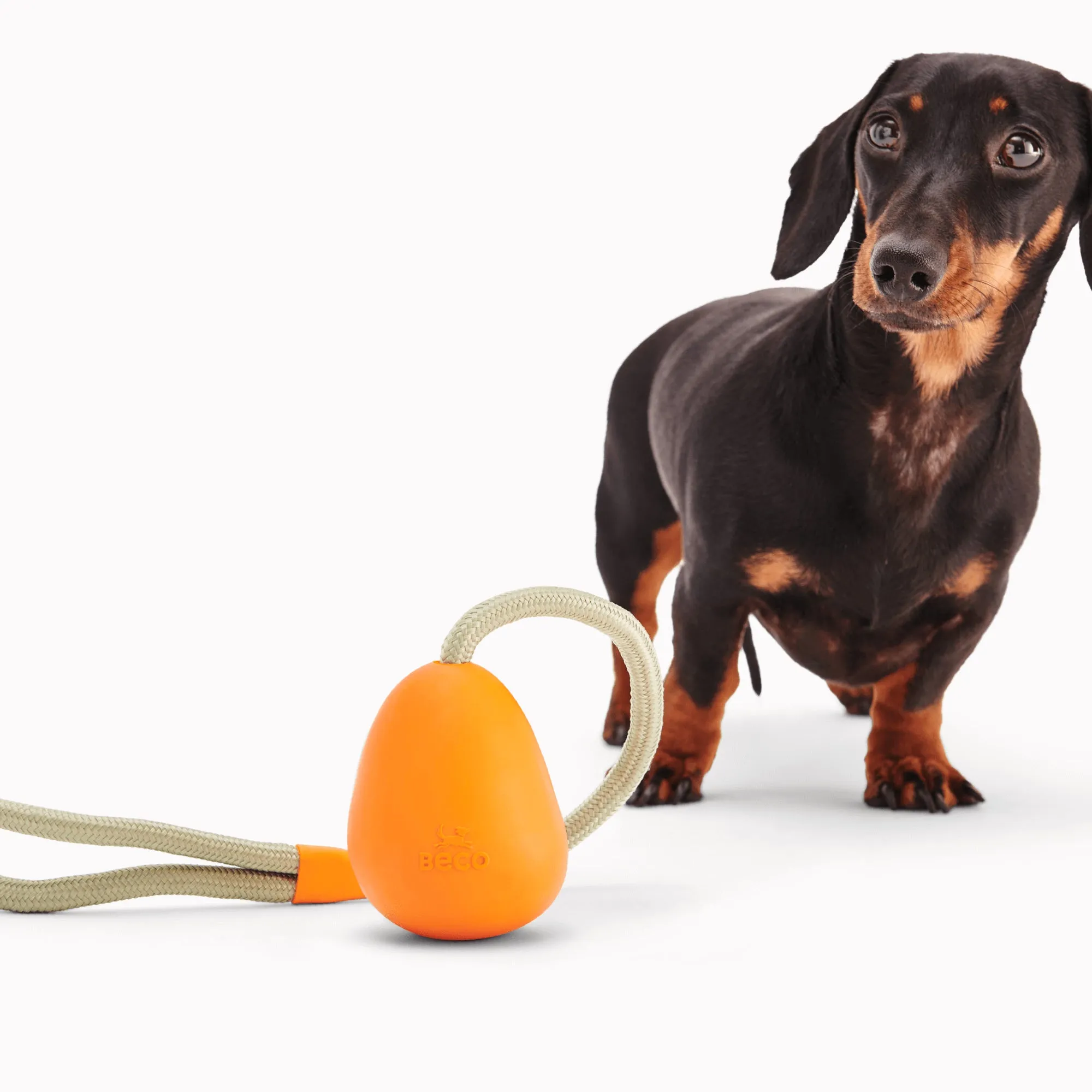Beco Rubber Slinger Pebble for Fetch