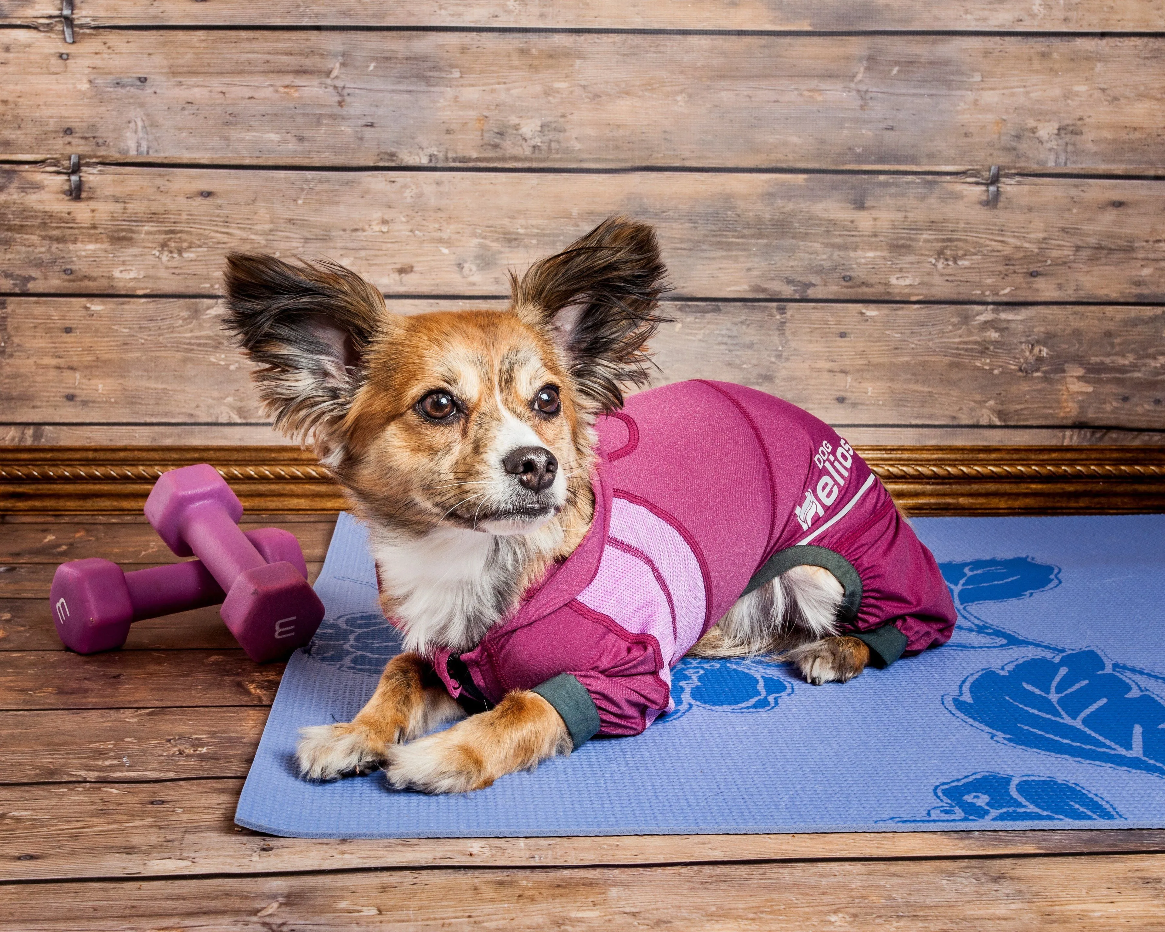 Dog Helios ® 'Namastail' Lightweight 4-Way-Stretch Yoga Performance Dog Tracksuit Hoodie
