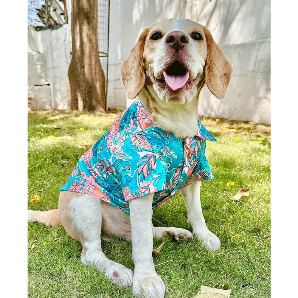 Dogobow Tropicana Shirt for Dogs and Cats (Aqua Blue) (Get a Bow Free)