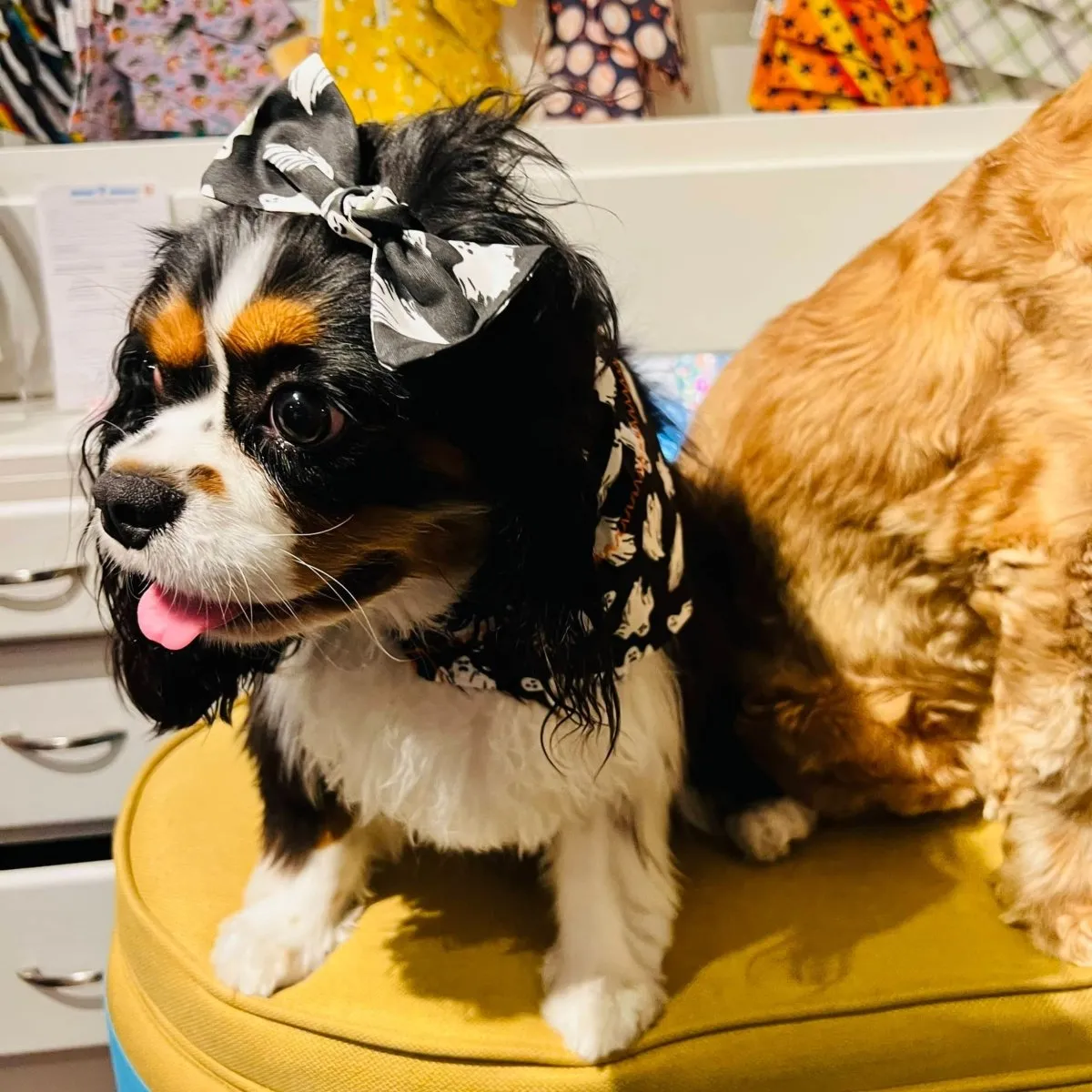 Handmade Glow-in-the-Dark Halloween Bandana for Pets
