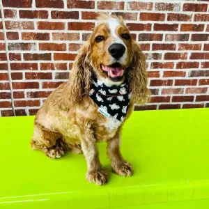 Handmade Glow-in-the-Dark Halloween Bandana for Pets