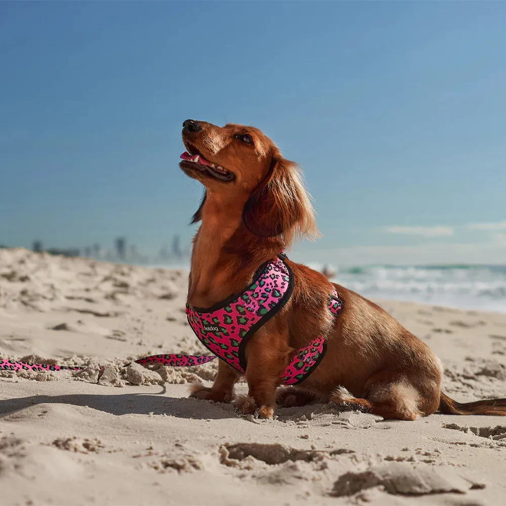 Hot Dog - Harness - Pink Ocelot