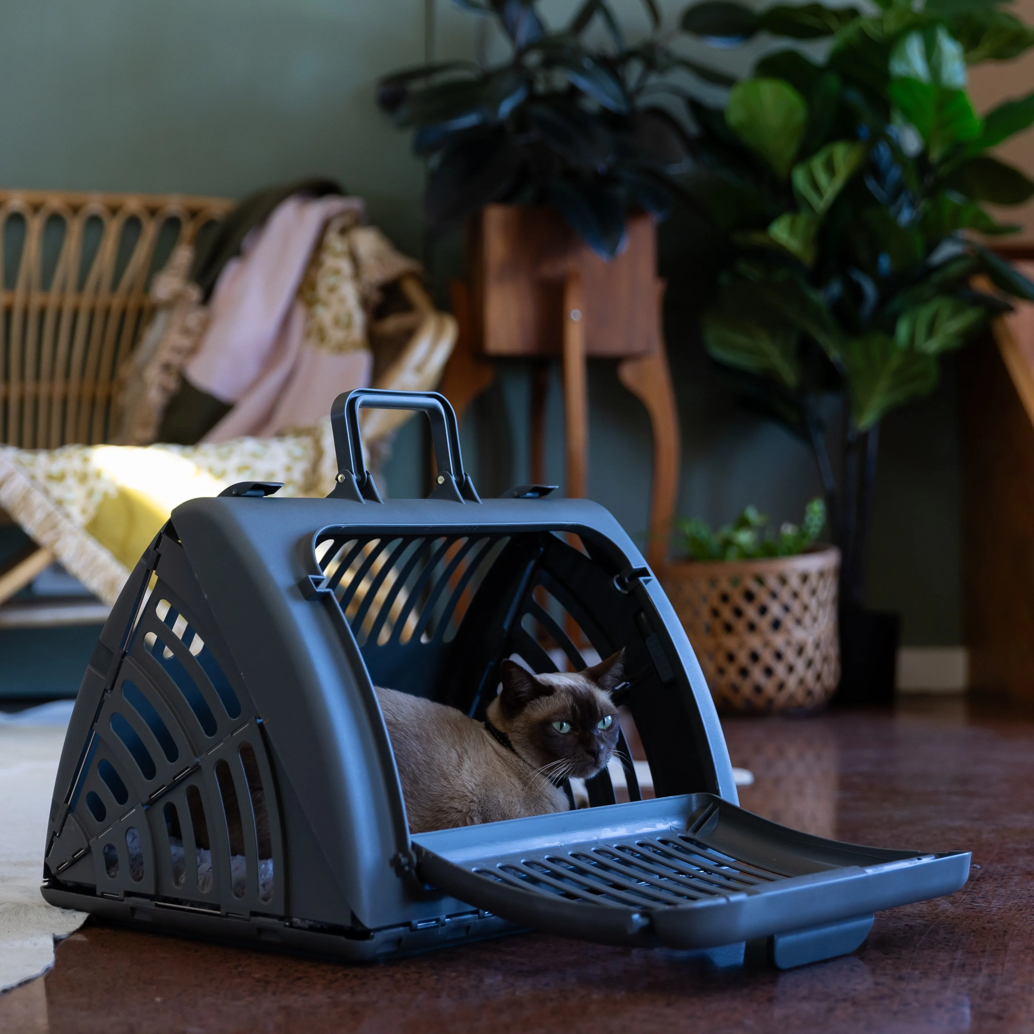 Lexi & Me Collapsible Cat Carrier with Mat Charcoal