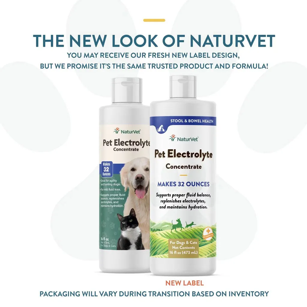 NaturVet Pet Electrolyte Concentrate for Dogs & Cats, 16-oz