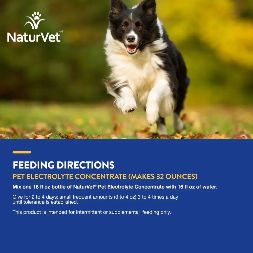 NaturVet Pet Electrolyte Concentrate for Dogs & Cats, 16-oz