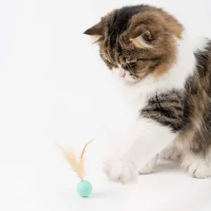 Pidan Cat Balls Toy with Feathers (3PCS)