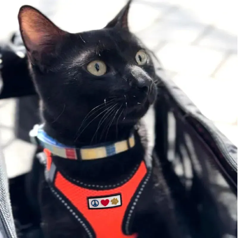 Reflective Mesh Harness - Dog / Cat
