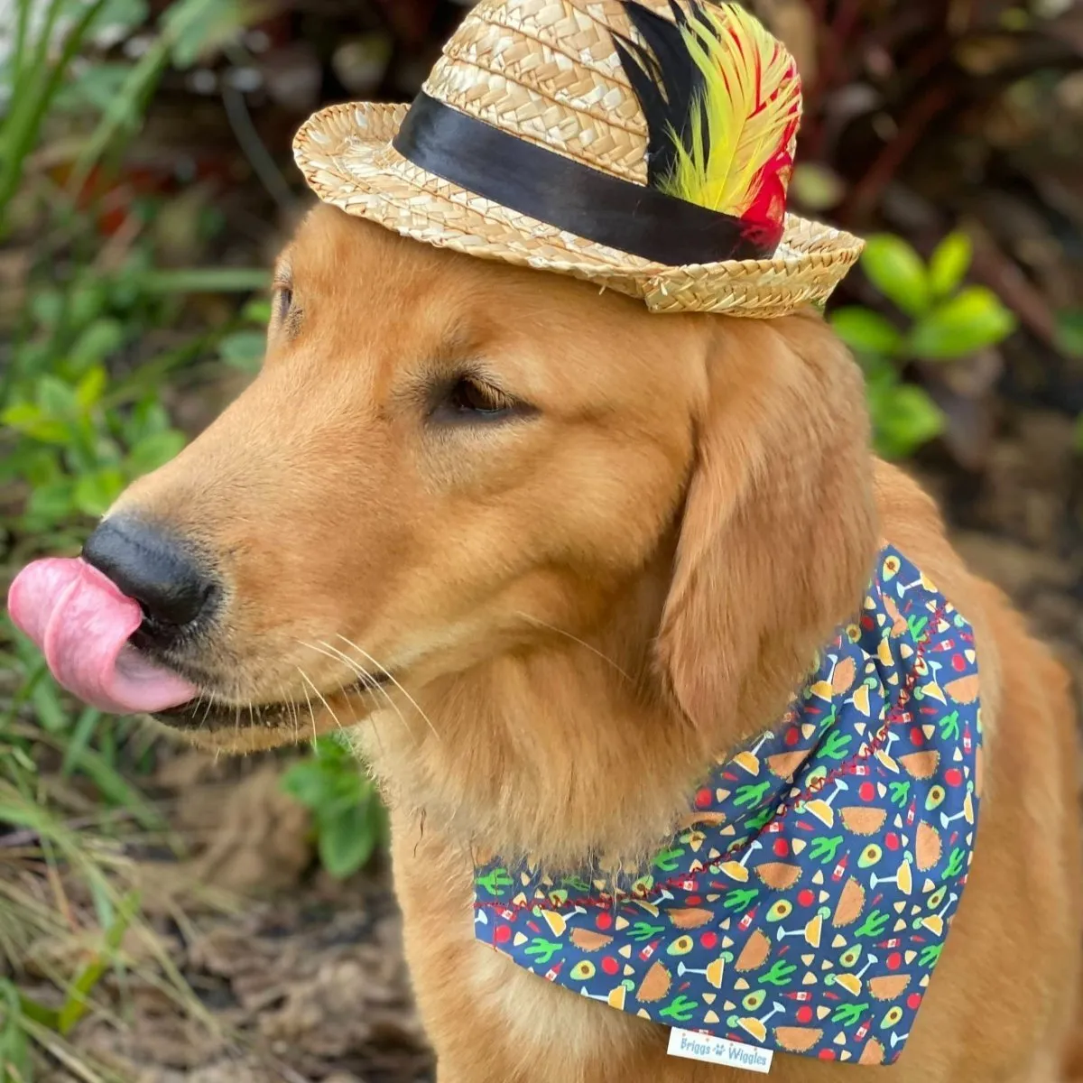 Taco Tuesday Dog Bandana - Tacos & Margaritas Pet Accessory