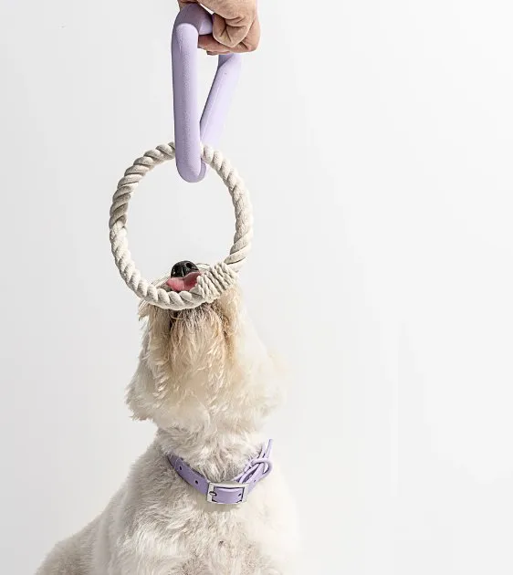 Wild One Triangle Tug Dog Chew Toy (Lilac)