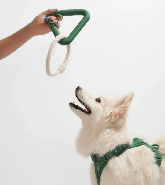 Wild One Triangle Tug Dog Chew Toy (Spruce)