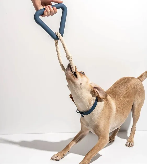 Wild One Triangle Tug Dog Chew Toy (Spruce)
