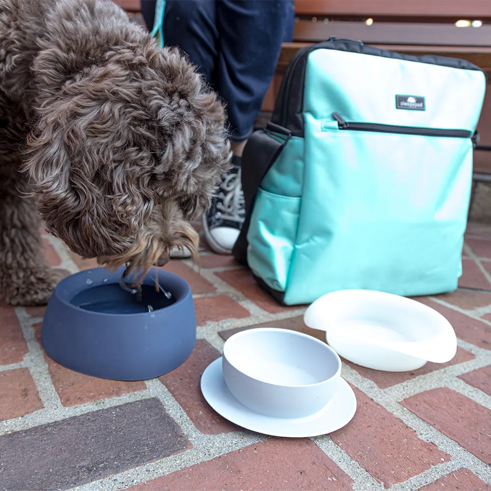 Yummy Travel Bowls