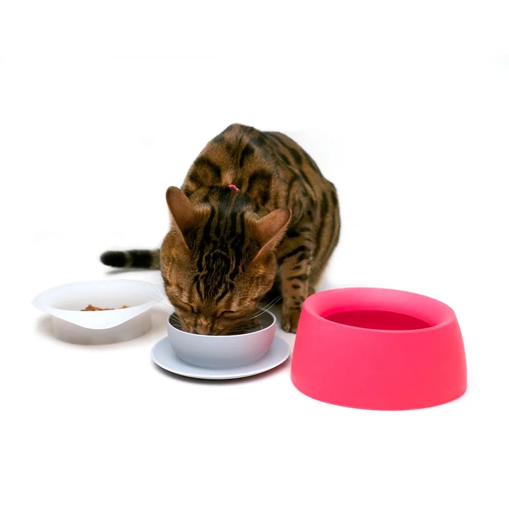 Yummy Travel Bowls