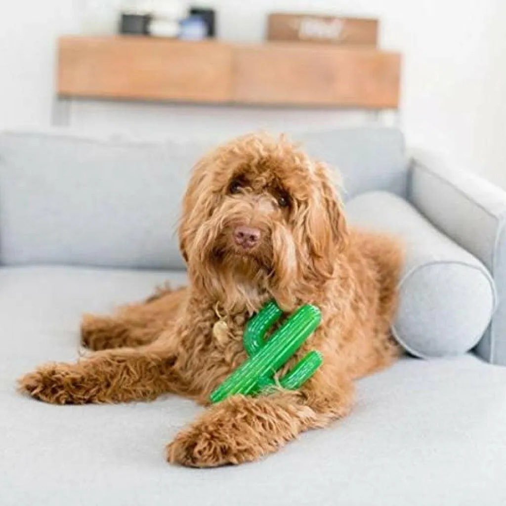 Zippy Paws Tuff Cactus Squeaky Plush Tuff Toy for Dogs (Large)